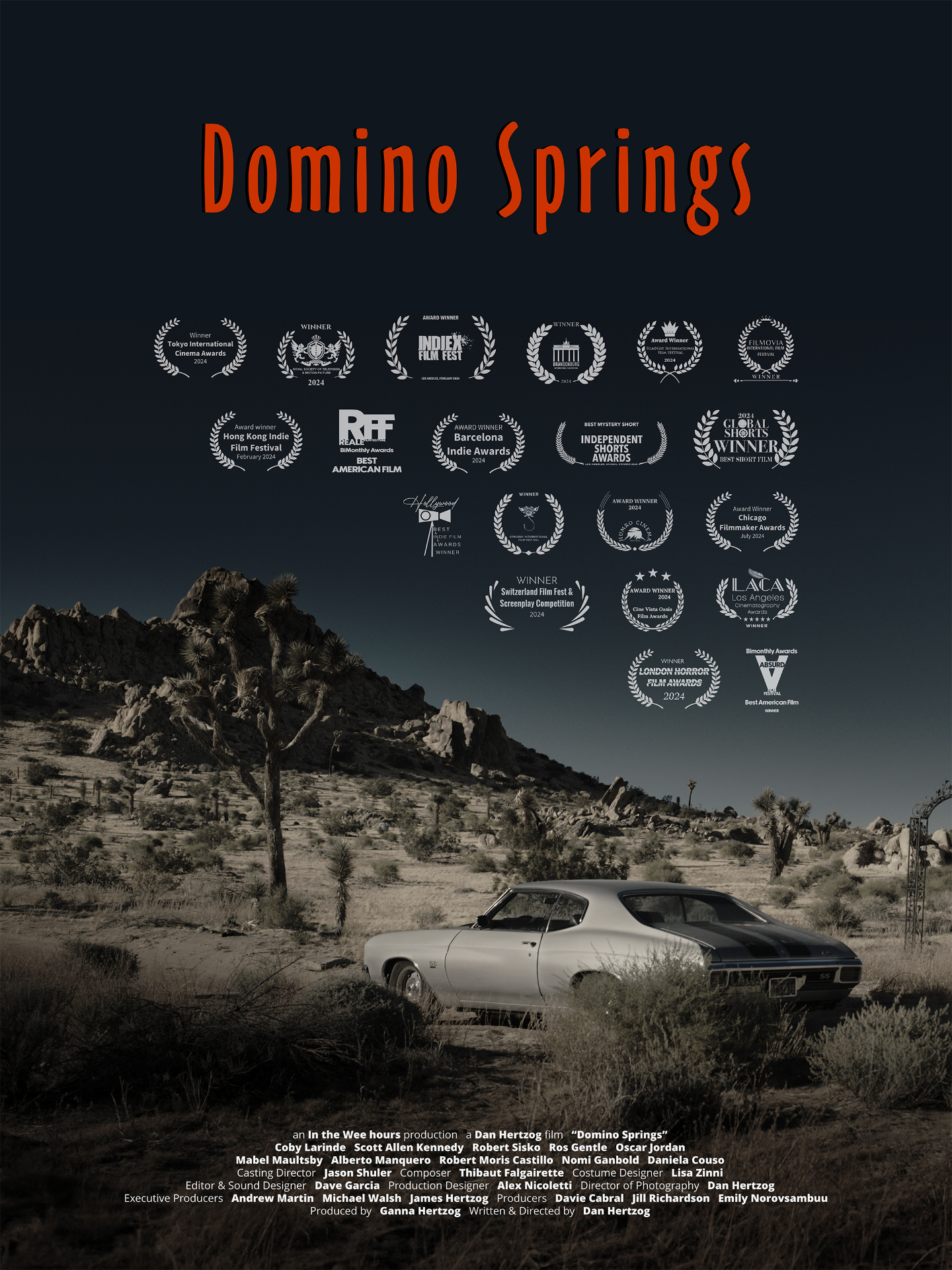 Domino Springs poster